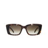 Mr. Leight CARMAN S Sunglasses LPT-ATG/ELM leopard tortoise - product thumbnail 1/3