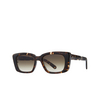 Lunettes de soleil Mr. Leight CARMAN S LPT-ATG/ELM leopard tortoise - Vignette du produit 2/3