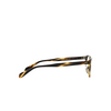 Oliver Peoples ASHTON Eyeglasses 1003 cocobolo - product thumbnail 3/4