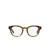 Oliver Peoples CARY GRANT Eyeglasses 1011 raintree - product thumbnail 1/4