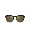 Lunettes de soleil Oliver Peoples CARY GRANT SUN 1454O8 semi matte sable tortoise - Vignette du produit 1/4