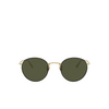 Gafas de sol Oliver Peoples COLERIDGE SUN 530552 gold / tortoise - Miniatura del producto 1/4