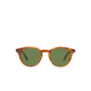 Oliver Peoples DESMON Sunglasses 14834E semi matte lbr - product thumbnail 1/4