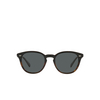 Oliver Peoples DESMON Sunglasses 1722P2 black / 362 gradient - product thumbnail 1/4
