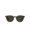 Oliver Peoples DESMON Sunglasses 1724P1 tuscany tortoise - product thumbnail 1/4