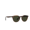 Oliver Peoples DESMON Sunglasses 1724P1 tuscany tortoise - product thumbnail 2/4