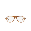 Oliver Peoples EMET Eyeglasses 1011 raintree - product thumbnail 1/4