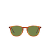 Oliver Peoples FINLEY 1993 Sunglasses 174252 sugi tortoise - product thumbnail 1/4