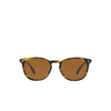 Oliver Peoples FINLEY ESQ. (U) Sunglasses 100353 cocobolo - product thumbnail 1/4