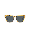 Oliver Peoples LYNES Sunglasses 1701R5 ytb - product thumbnail 1/4