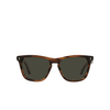 Gafas de sol Oliver Peoples LYNES SUN 1724P1 tuscany tortoise - Miniatura del producto 1/4