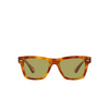 Oliver Peoples OLIVER Sunglasses 14084C vintage lbr - product thumbnail 1/4