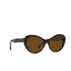 Oliver Peoples ZARENE Sunglasses 100383 cocobolo - product thumbnail 2/4