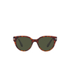 Persol PO3287S Sunglasses 24/31 havana - product thumbnail 1/4
