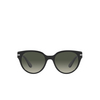 Persol PO3287S Sunglasses 95/71 black - product thumbnail 1/4