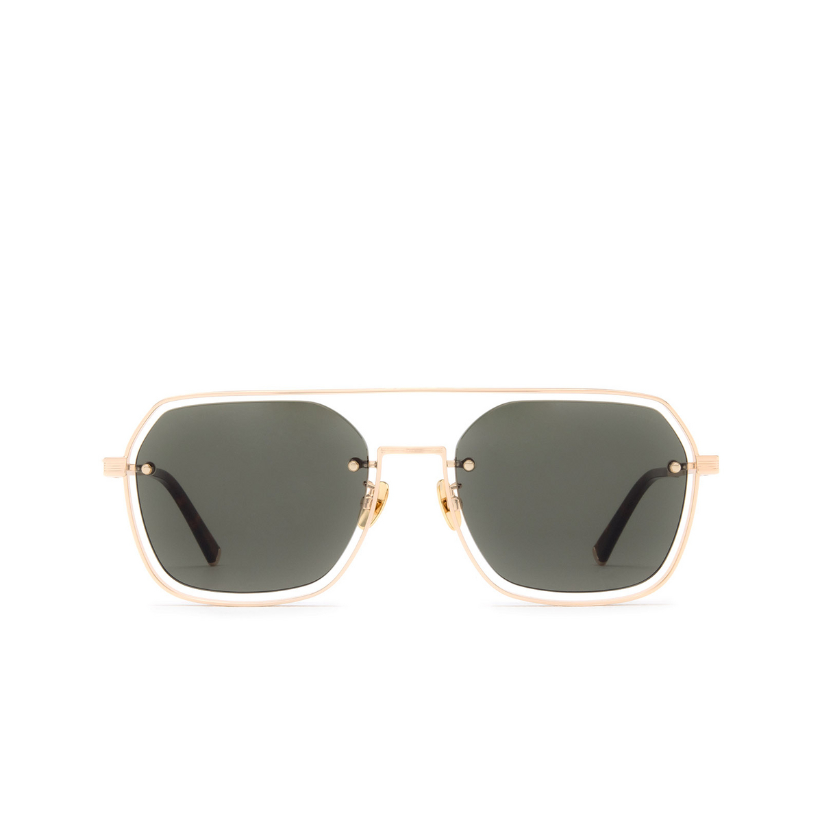 Police LEWIS 36 Sunglasses 0300 Rose Gold - front view