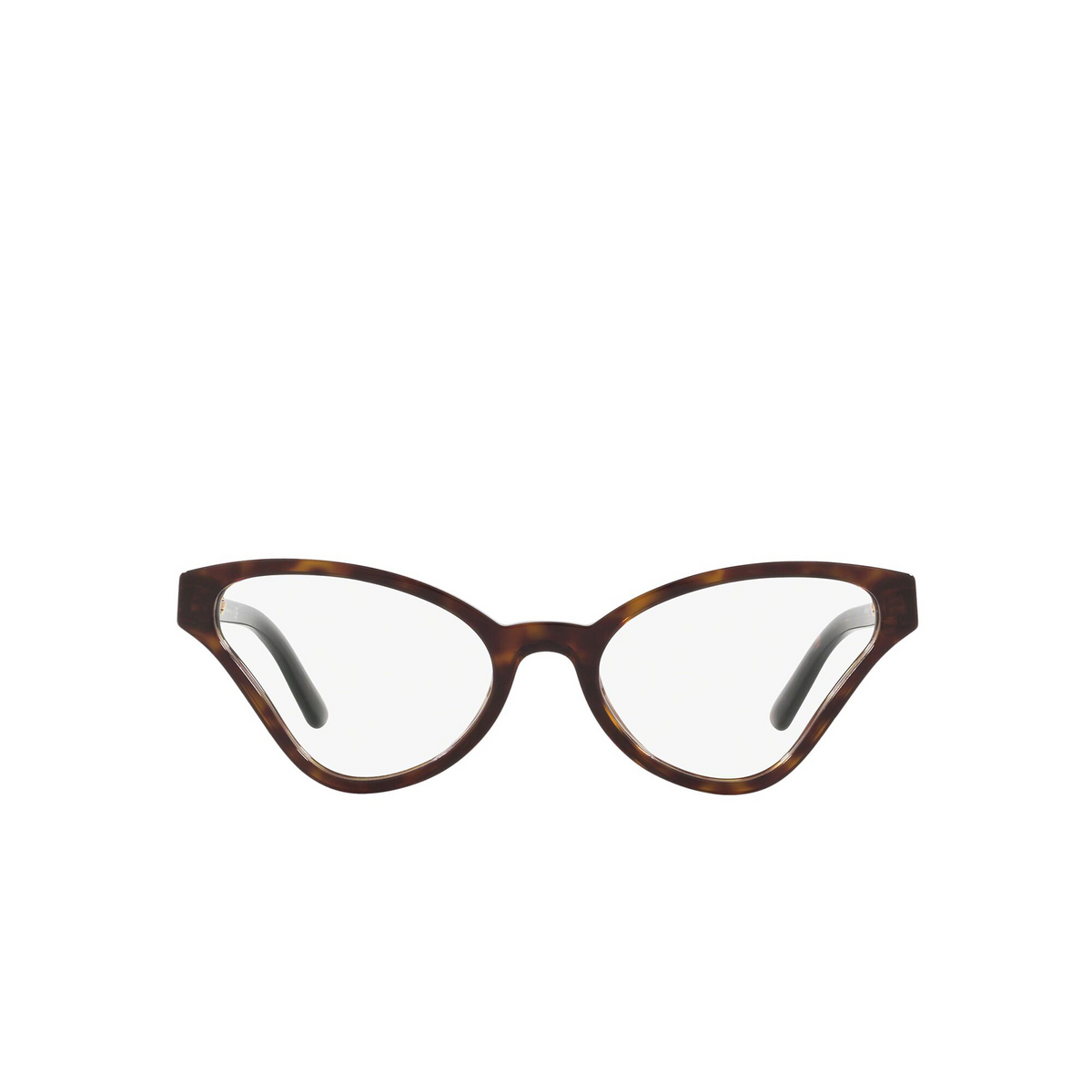Prada® Butterfly Eyeglasses: Catwalk PR 06XV color Havana 2AU1O1 - front view.