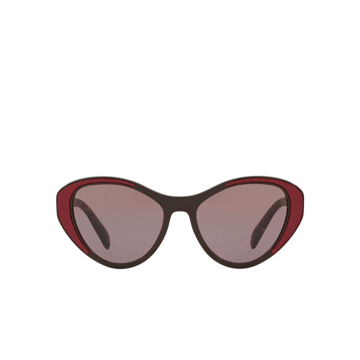 Prada® Cat-eye Sunglasses: Catwalk PR 14US color Brown YEO6X1 - front view.