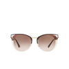 Prada CATWALK Sunglasses LMN0A6 striped brown - product thumbnail 1/4