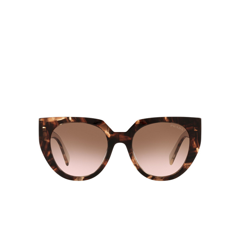 Prada PR 14WS Sunglasses 01R0A6 caramel tortoise/ powder - 1/4