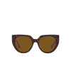 Gafas de sol Prada PR 14WS 2AU5Y1 tortoise - Miniatura del producto 1/4