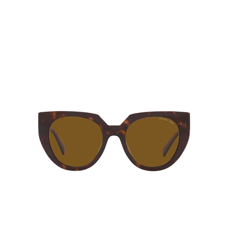 Prada PR 14WS Sunglasses 2AU5Y1 tortoise - 1/4