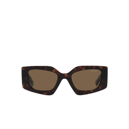 Prada® Irregular Sunglasses: PR 15YS color 2AU06B Tortoise 
