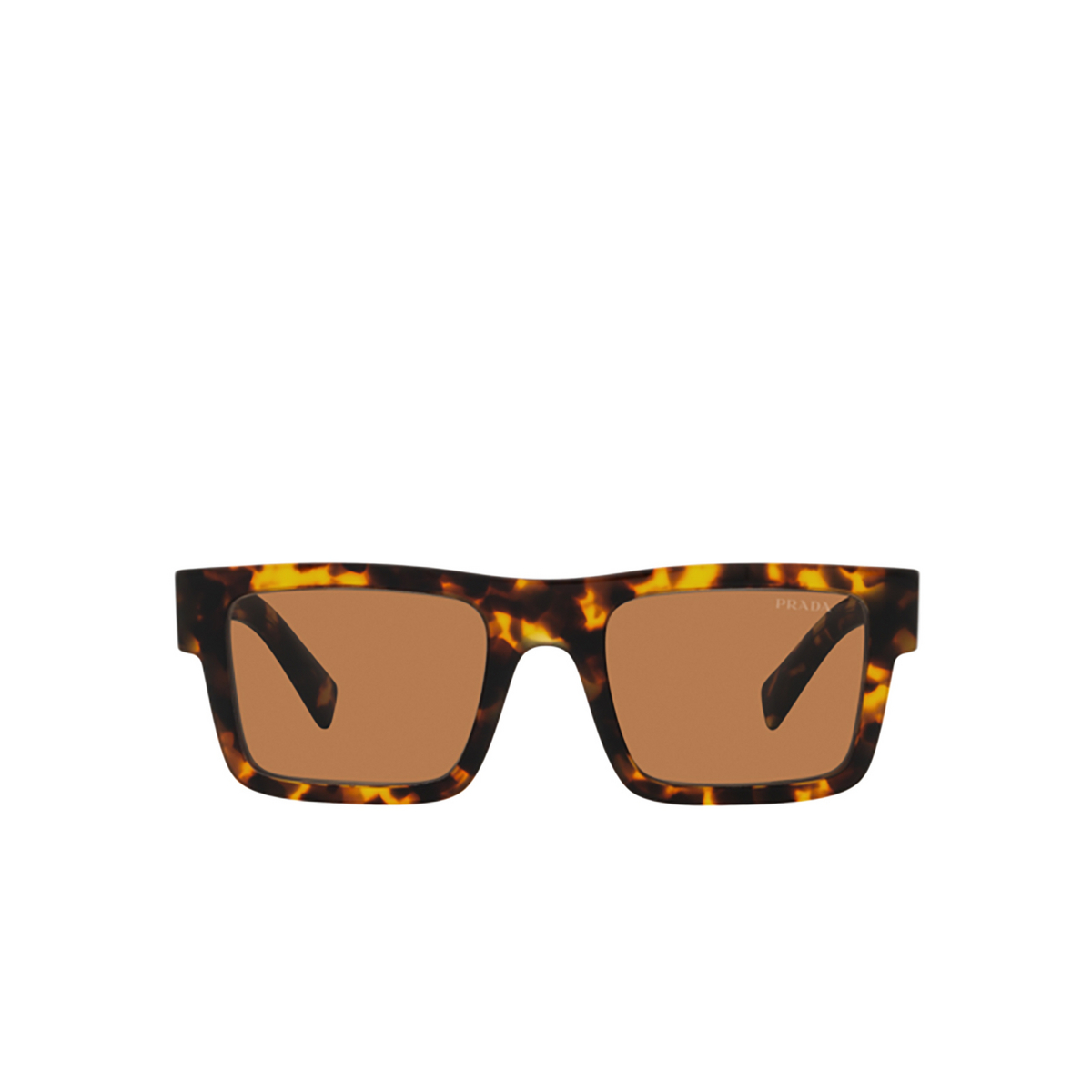 Prada PR 19WS Sunglasses VAU2Z1 Honey Tortoise - front view