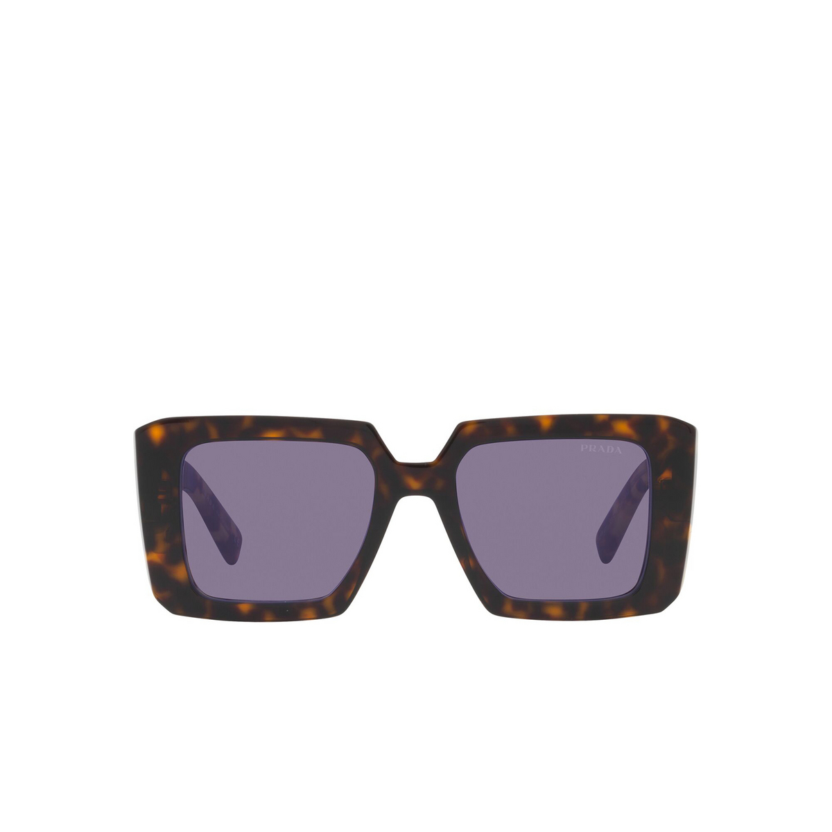 Prada® Square Sunglasses: PR 23YS color 2AU05Q Havana - front view