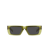 Prada PR 24YS Sunglasses 19B5S0 crystal fern - product thumbnail 1/4