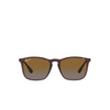 Lunettes de soleil Ray-Ban CHRIS 6593T5 transparent brown - Vignette du produit 1/4