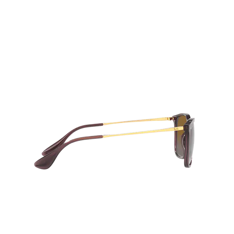 Ray-Ban CHRIS Sunglasses 6593T5 transparent brown - 3/4