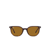 Ray-Ban ELLIOT Sunglasses 902/33 havana - product thumbnail 1/4