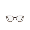 Ray-Ban ELLIOT Eyeglasses 2012 havana - product thumbnail 1/4
