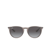 Occhiali da sole Ray-Ban ERIKA 65138G shiny transparent grey - anteprima prodotto 1/4