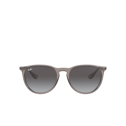 Ray-Ban ERIKA Sunglasses 65138G shiny transparent grey