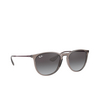 Occhiali da sole Ray-Ban ERIKA 65138G shiny transparent grey - anteprima prodotto 2/4