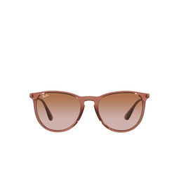 Ray-Ban ERIKA Sunglasses 659013 transparent light brown