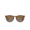 Lunettes de soleil Ray-Ban ERIKA 6593T5 transparent dark brown - Vignette du produit 1/4