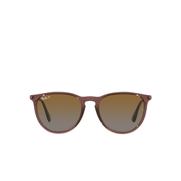 Occhiali da sole Ray-Ban ERIKA 6593T5 transparent dark brown