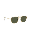 Ray-Ban FRANK Sunglasses 919658 shiny gold - product thumbnail 2/4