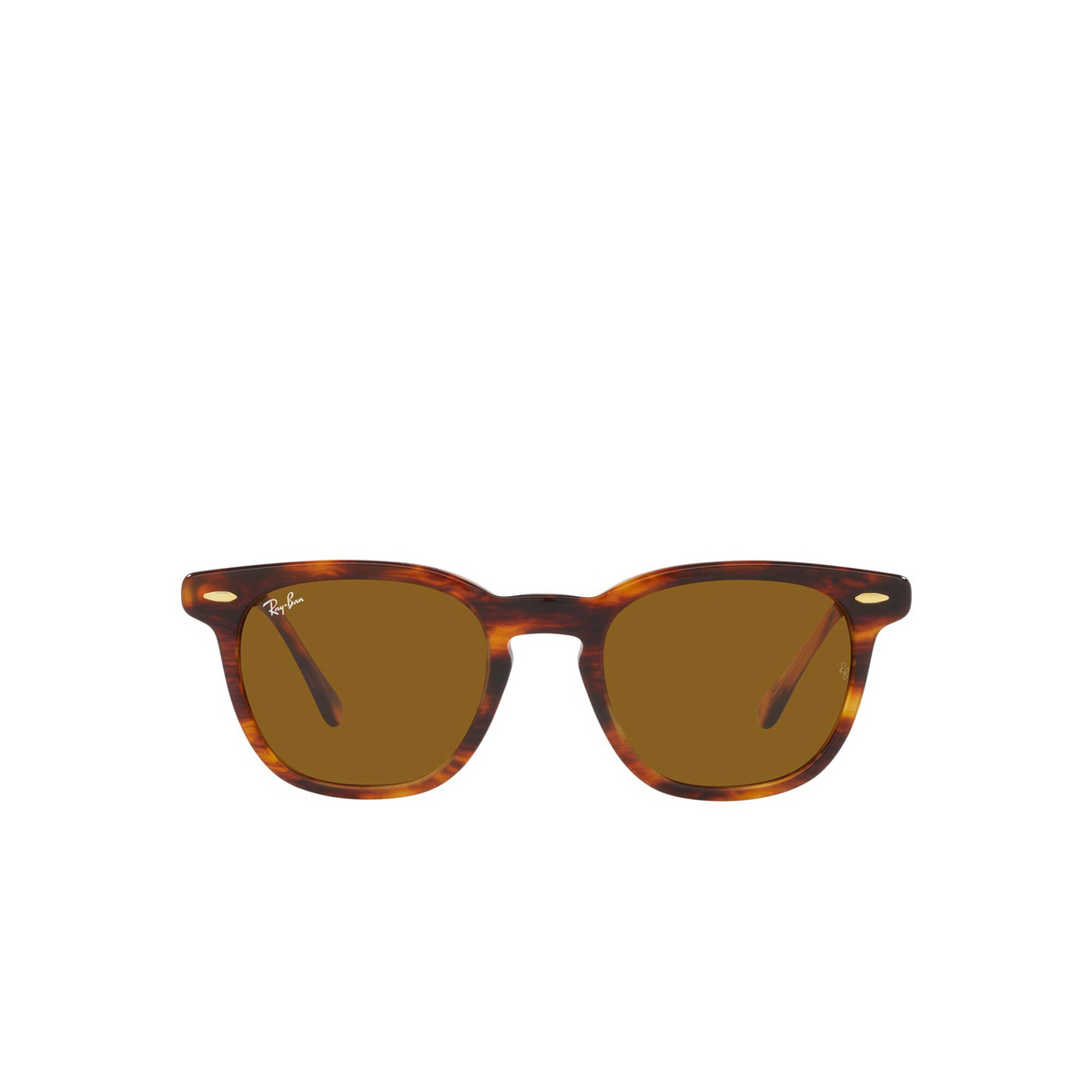 Ray-Ban® Square Sunglasses: Hawkeye RB2298 color Striped Havana 954/33 - front view.