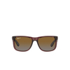 Ray-Ban JUSTIN Sunglasses 6597T5 transparent bordeaux - product thumbnail 1/4
