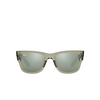 Gafas de sol Ray-Ban MEGA WAYFARER 66355C transparent green - Miniatura del producto 1/4