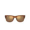 Occhiali da sole Ray-Ban MEGA WAYFARER 663693 transparent brown - anteprima prodotto 1/4