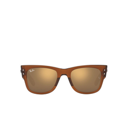 Occhiali da sole Ray-Ban MEGA WAYFARER 663693 transparent brown