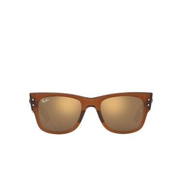 Ray-Ban MEGA WAYFARER Sunglasses 663693 transparent brown - front view