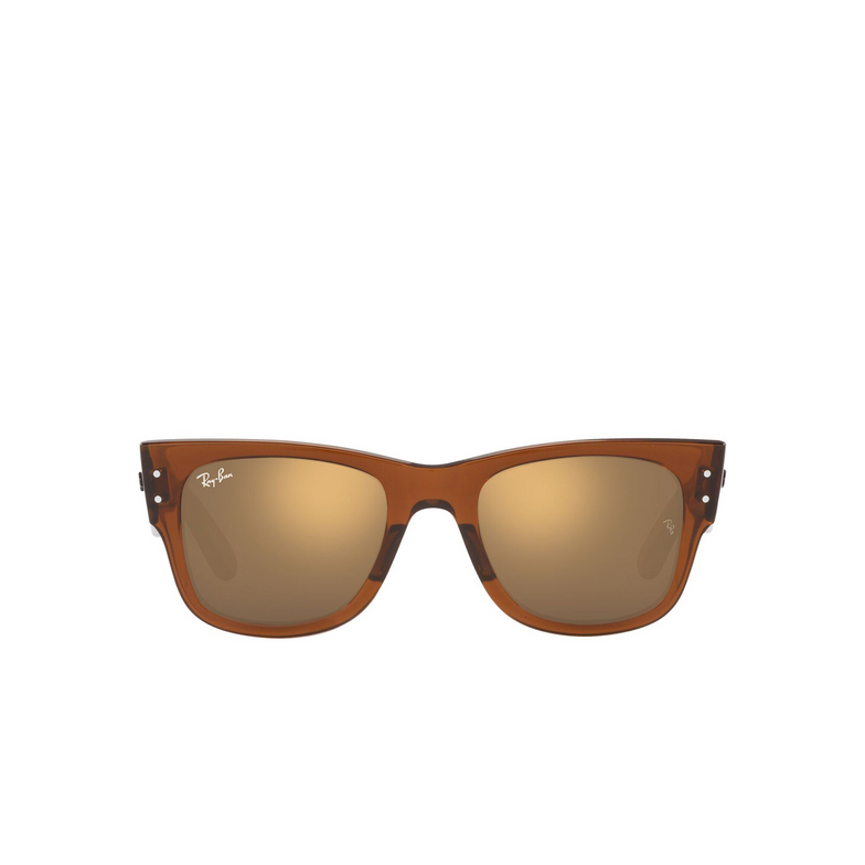 Gafas de sol Ray-Ban MEGA WAYFARER 663693 transparent brown - 1/4