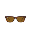 Ray-Ban MR BURBANK Sunglasses 954/33 havana - product thumbnail 1/4