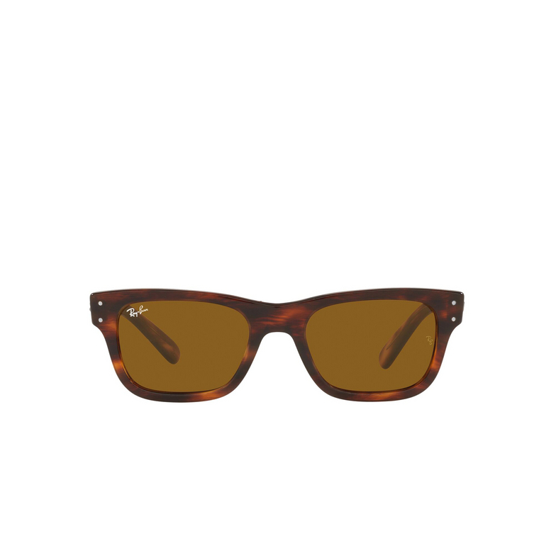 Ray-Ban MR BURBANK Sunglasses 954/33 havana - 1/4